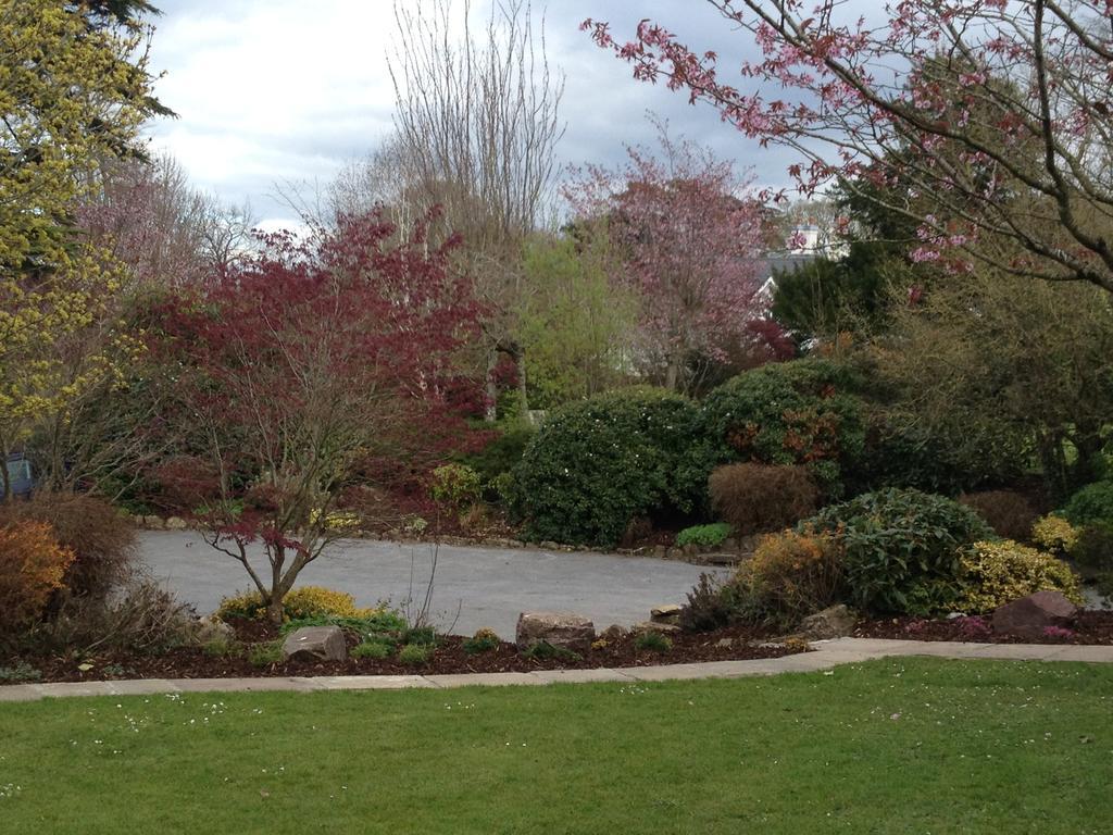 Raheen House Hotel Clonmel Εξωτερικό φωτογραφία