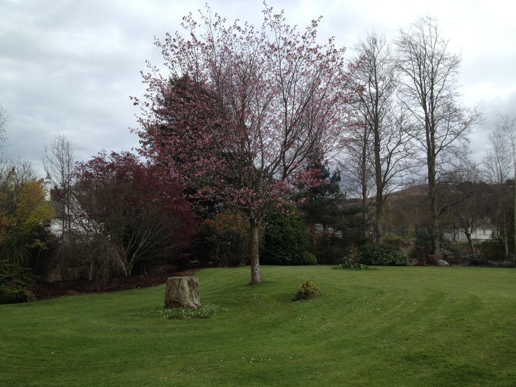 Raheen House Hotel Clonmel Εξωτερικό φωτογραφία